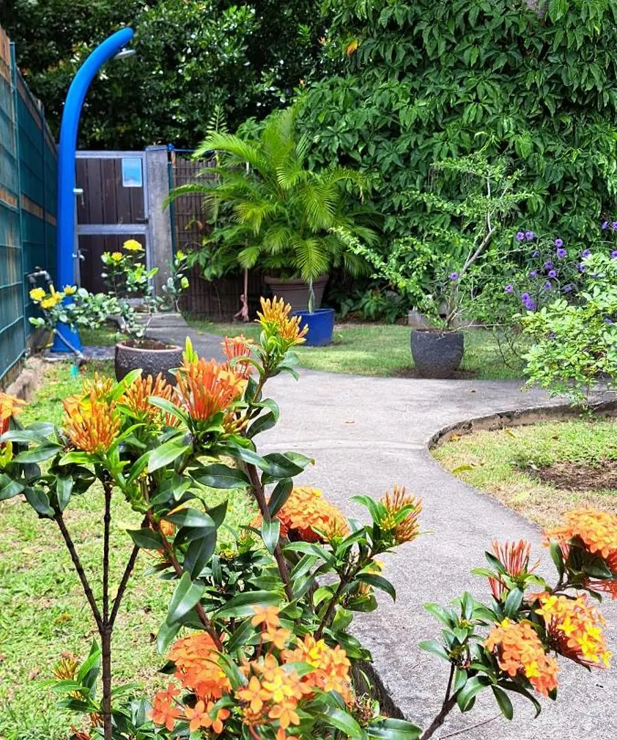 Reve Creole Villa Deshaies Holiday home